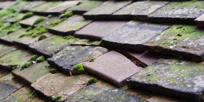 Rangeworthy roof repair costs